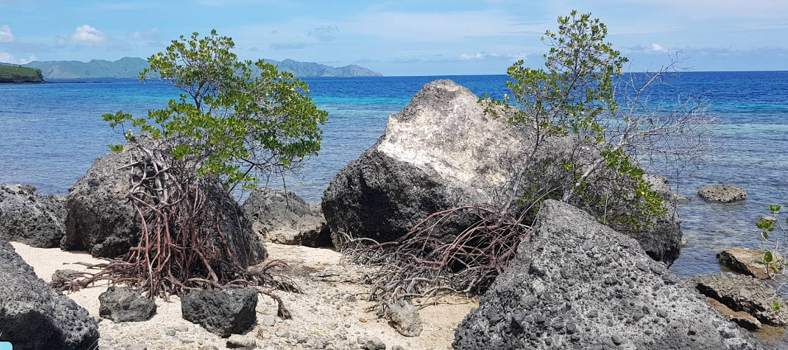 View 3 Pantai Tanjung Watu Gogo
